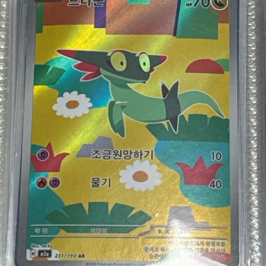 [BUNJANG] Pokemon Dracoon AR Card / 포켓몬 드라꼰 AR 카드
