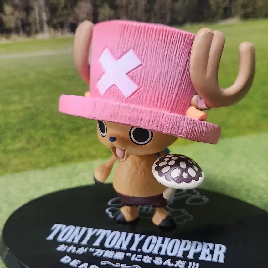 [BUNJANG] Bandai Tony Tony Chopper Poison Mushroom Figure / [반다이]원피스 피규어 아츠제로-토니토니쵸파 독버섯