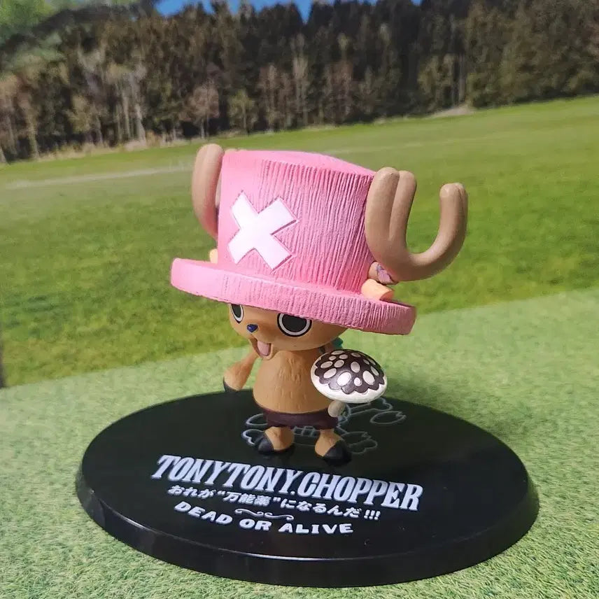 [BUNJANG] Bandai Tony Tony Chopper Poison Mushroom Figure / [반다이]원피스 피규어 아츠제로-토니토니쵸파 독버섯