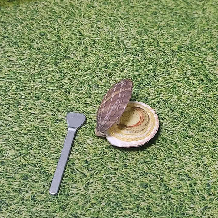 [BUNJANG] Re-Ment Scallop Miniature / 리멘트-가리비