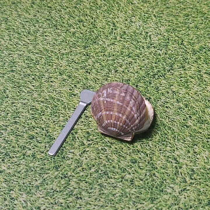 [BUNJANG] Re-Ment Scallop Miniature / 리멘트-가리비