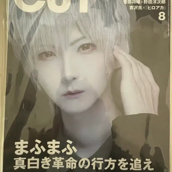 [BUNJANG] Mafumafu Artist Book Magazine / 우타이테 마후마후 아티스트북 잡지 일괄 판매