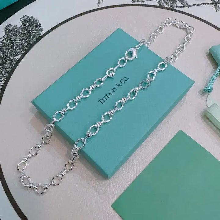 [BUNJANG] Tiffany &amp; Co. Silver Chain Necklace / 티파니앤코 실버 체인 목걸이