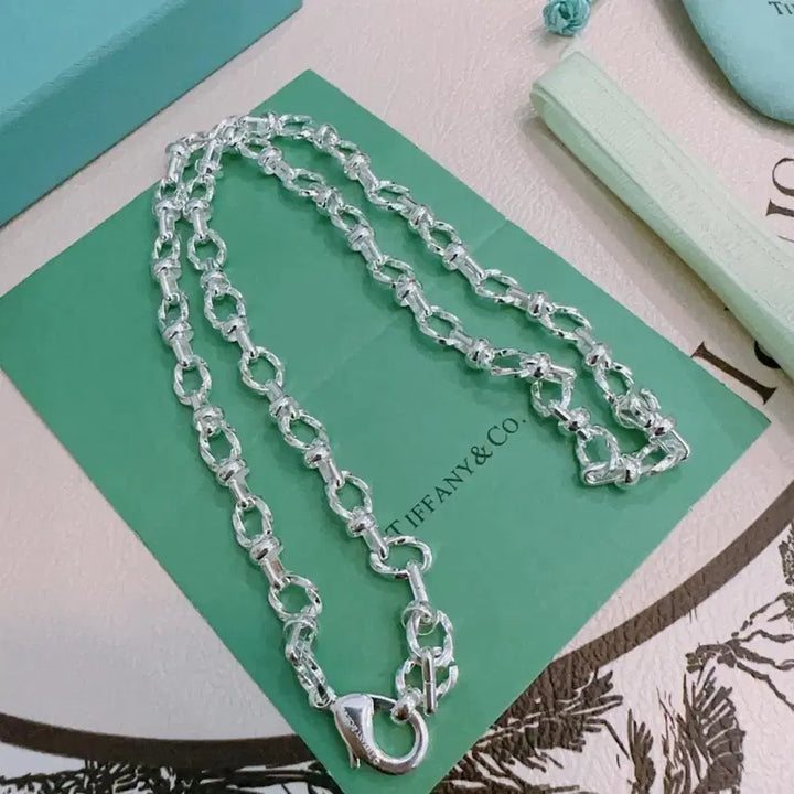 [BUNJANG] Tiffany &amp; Co. Silver Chain Necklace / 티파니앤코 실버 체인 목걸이