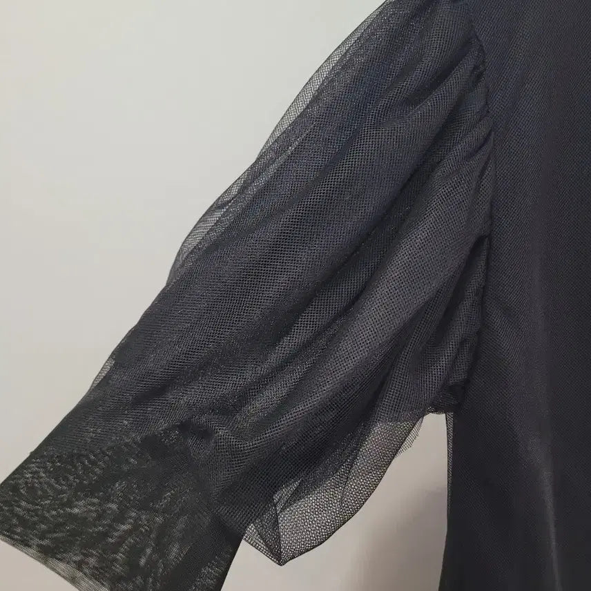 [BUNJANG] ZARA Black Sheer Puff Sleeve T-Shirt (Size M) / 자라 블랙 시스루 퍼프 반팔 티셔츠 M사이즈