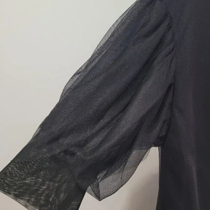 [BUNJANG] ZARA Black Sheer Puff Sleeve T-Shirt (Size M) / 자라 블랙 시스루 퍼프 반팔 티셔츠 M사이즈