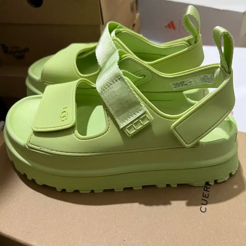 [SOLD OUT] UGG 어그 골든글로우 카테필라 샌들
