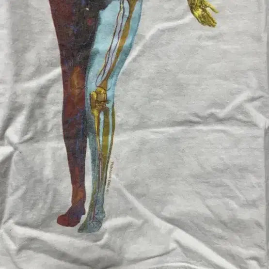 [BUNJANG] Nirvana Uttero Vintage T-shirt / 빈티지 너바나 티셔츠 우테로 L