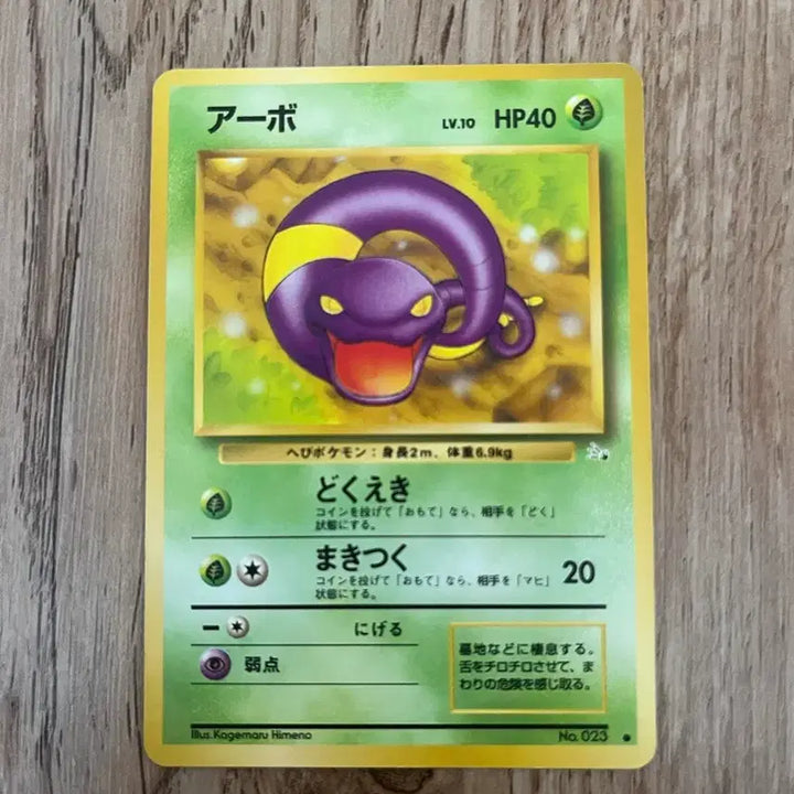 [BUNJANG] Pokemon Japanese First Edition Vintage Arbo Card / 초판 일판포켓몬카드 아보 빈티지