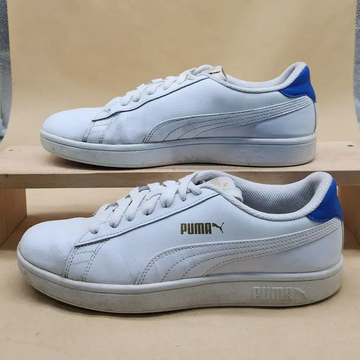 [BUNJANG] Puma Smash v2 Men&