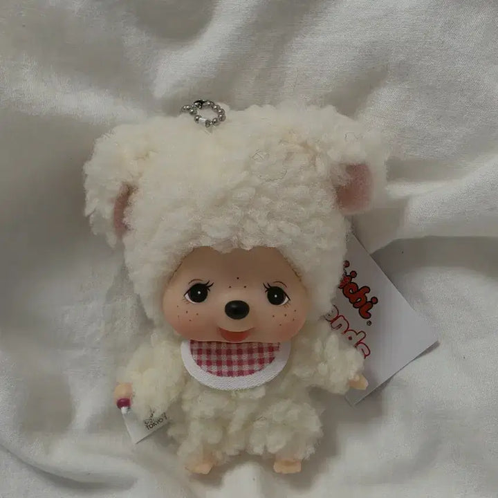 [SOLD OUT] (무료배송) 쿠마, 챠무, 타누타누 대두 빅헤드 (몬치치)