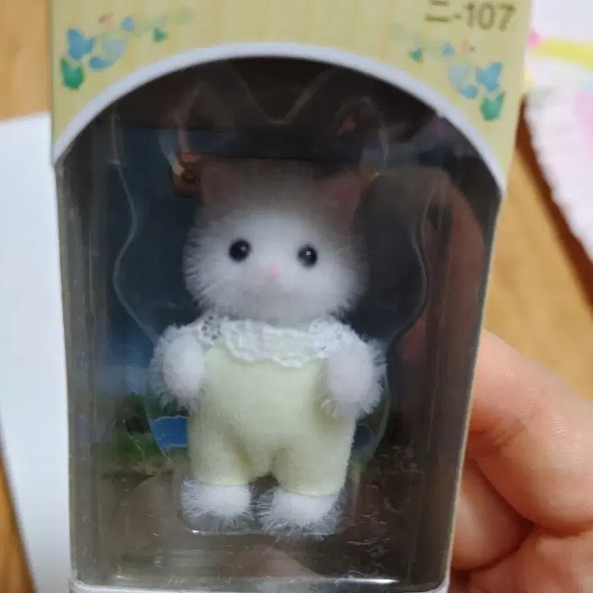[SOLD OUT] 실바니안 페르시안고양이 직립