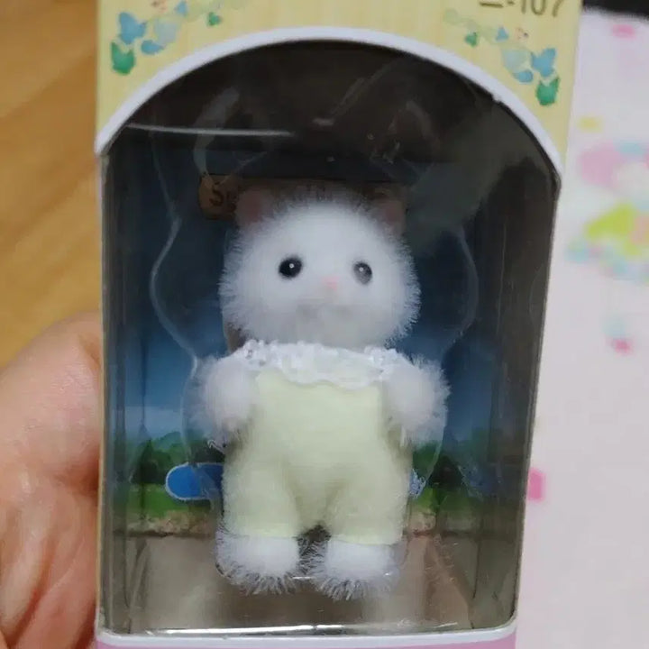 [SOLD OUT] 실바니안 페르시안고양이 직립