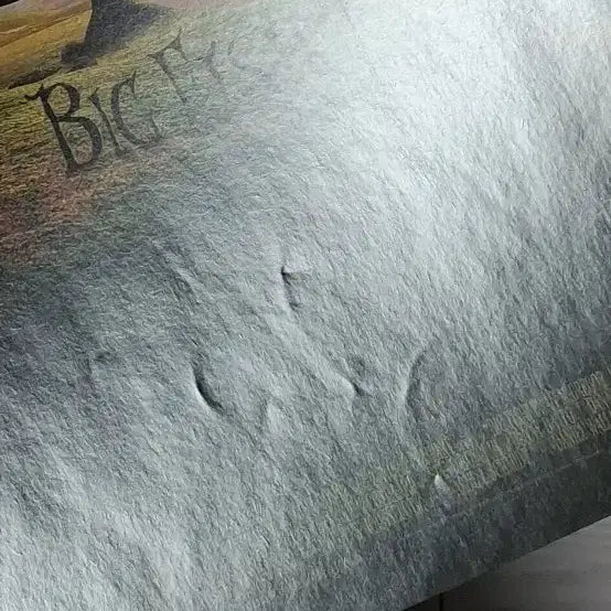 [BUNJANG] Tim Burton Ewan McGregor Big Fish (2004) Movie Flyer / (2단)팀버튼감독 이완맥그리거 빅피쉬(2004년 원개봉)전단지