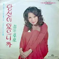 [BUNJANG] Moon Ju-ran, Nam Jin, Na Hoon-a Vinyl Record / 문주란 (당신이 있으니까/젊은 초원) 남진/나훈아
