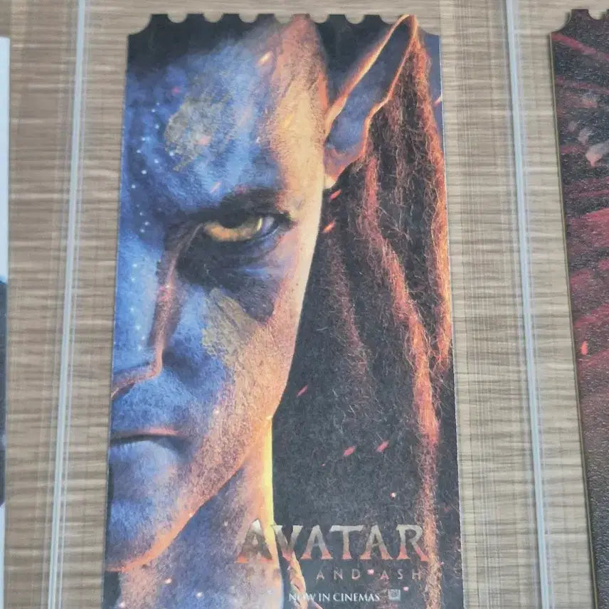 [SOLD OUT] 오리지널티켓 오티 일괄 판매