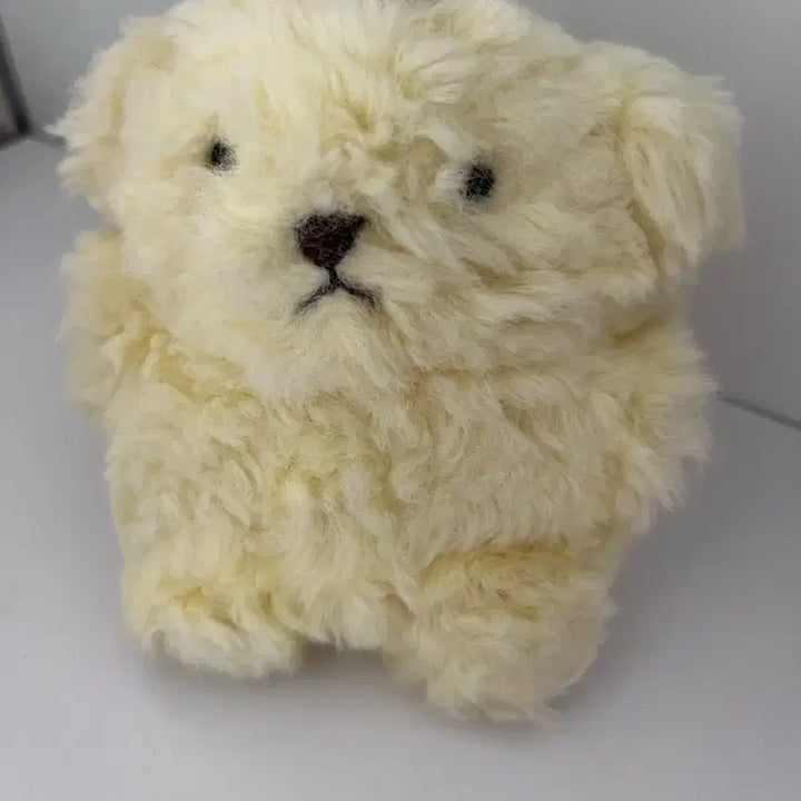 [BUNJANG] Pom Pom Purin Plush / 장모 폼폼푸린