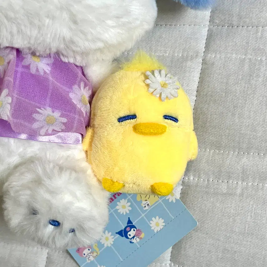 [SOLD OUT] 산리오 포차코 데이지 시리즈 누이구루미 인형