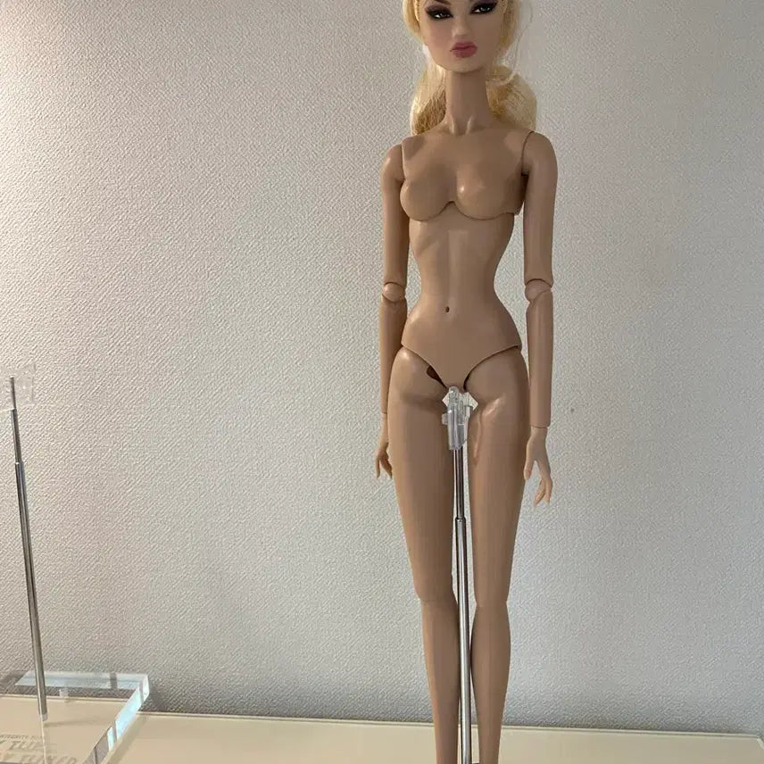 [BUNJANG] Fashion Royalty Kyori Doll / 패션로얄티 퀵실버쿄리