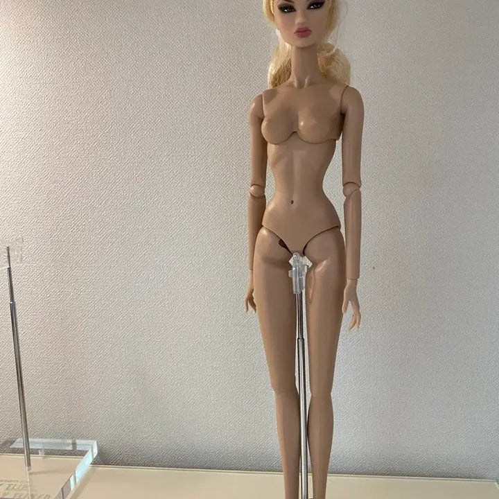 [BUNJANG] Fashion Royalty Kyori Doll / 패션로얄티 퀵실버쿄리