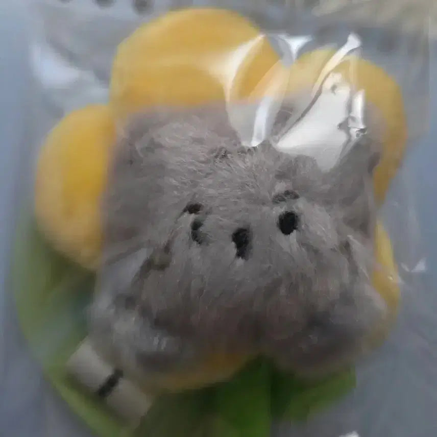 [SOLD OUT] 몬스타엑스 몬뭉치엑스 꽃인형 키링 배통이 미개봉 판매