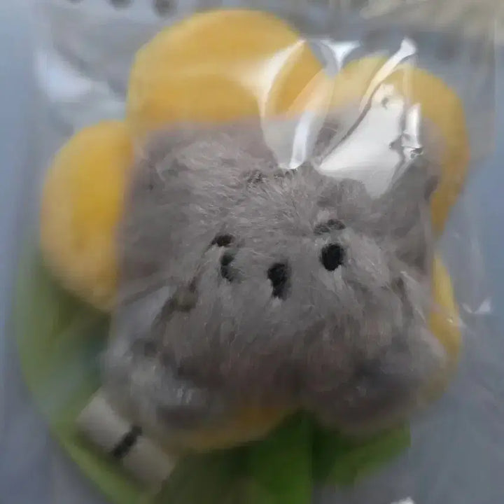 [SOLD OUT] 몬스타엑스 몬뭉치엑스 꽃인형 키링 배통이 미개봉 판매