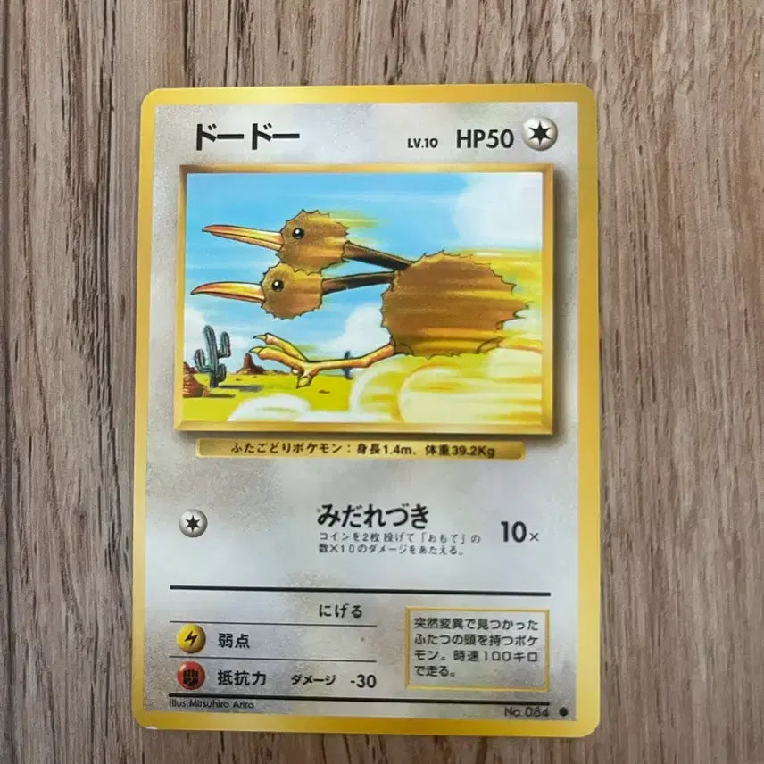 [BUNJANG] Pokemon Dodo Vintage First Edition Card / 초판 일판포켓몬카드 두두 빈티지