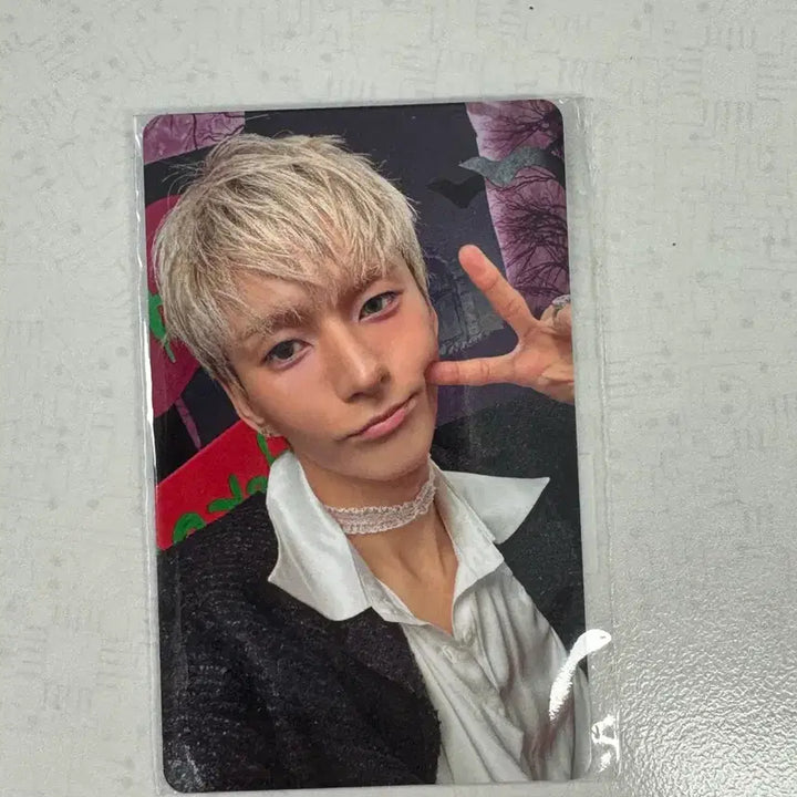 [BUNJANG] Xdinary Heroes Fanmeeting Odd Photocard / 엑디즈 팬미팅 온라인 4만원 포카 오드 양도