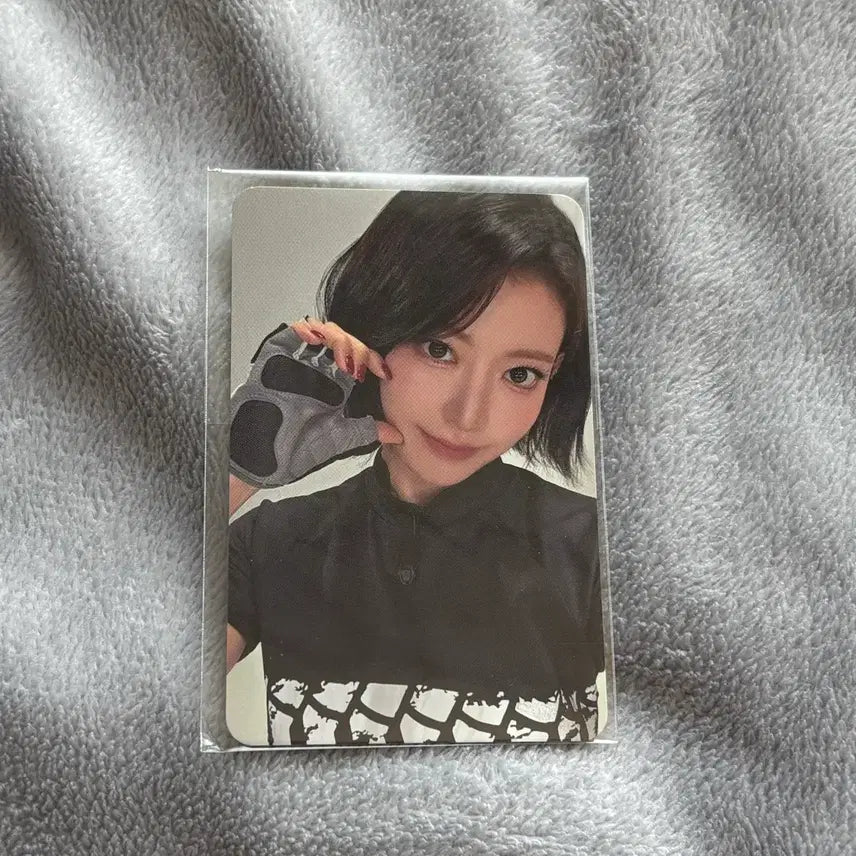 [SOLD OUT] 르세라핌 Invitation VR 콘서트 사쿠라 포카 롯데시네마