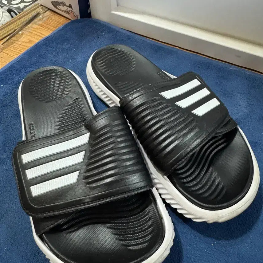 [BUNJANG] Adidas Alpha Bounce Sneakers / 아디다스 알파바운스 250