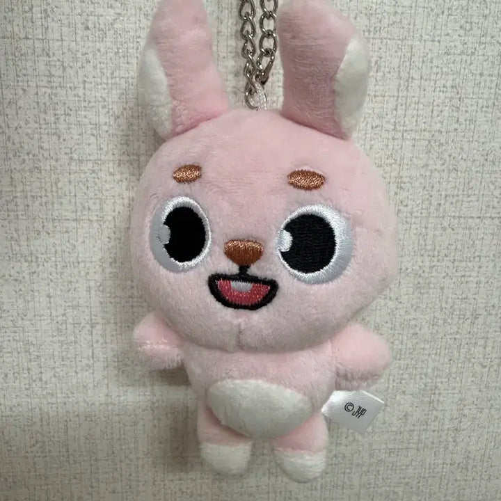 [BUNJANG] Day6 Denimalz Wonpil Back Charm / 데이식스 일본 MD 데니멀즈 백참 원필