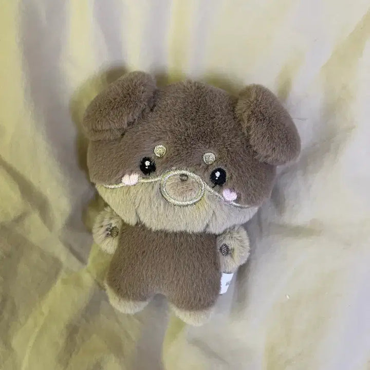 [BUNJANG] BTS Jungkook Bam 10cm Dog Doll / 방탄소년단 BTS JK 정국 밤이 10cm 강아지 인형