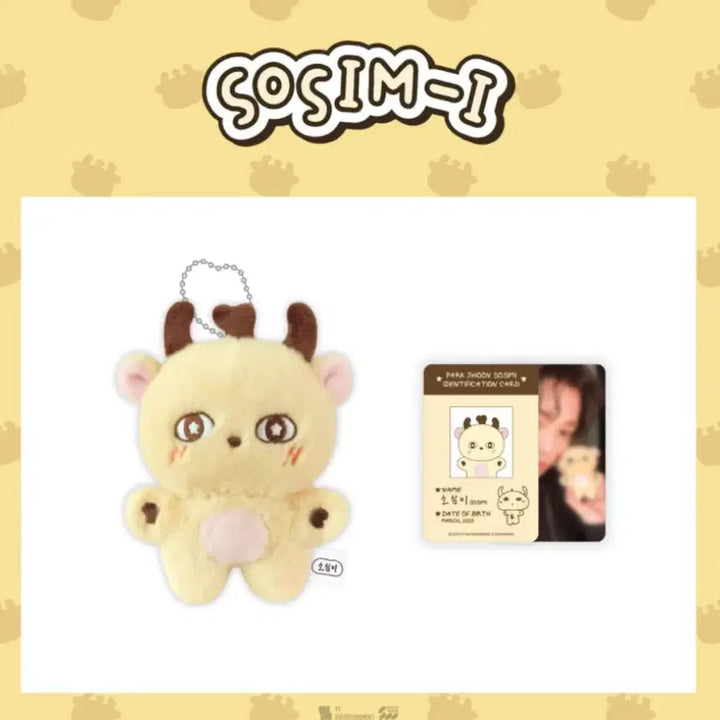 [BUNJANG] Park Jihoon Sosimi Unsealed Item / 박지훈 소심이 양도합니다!