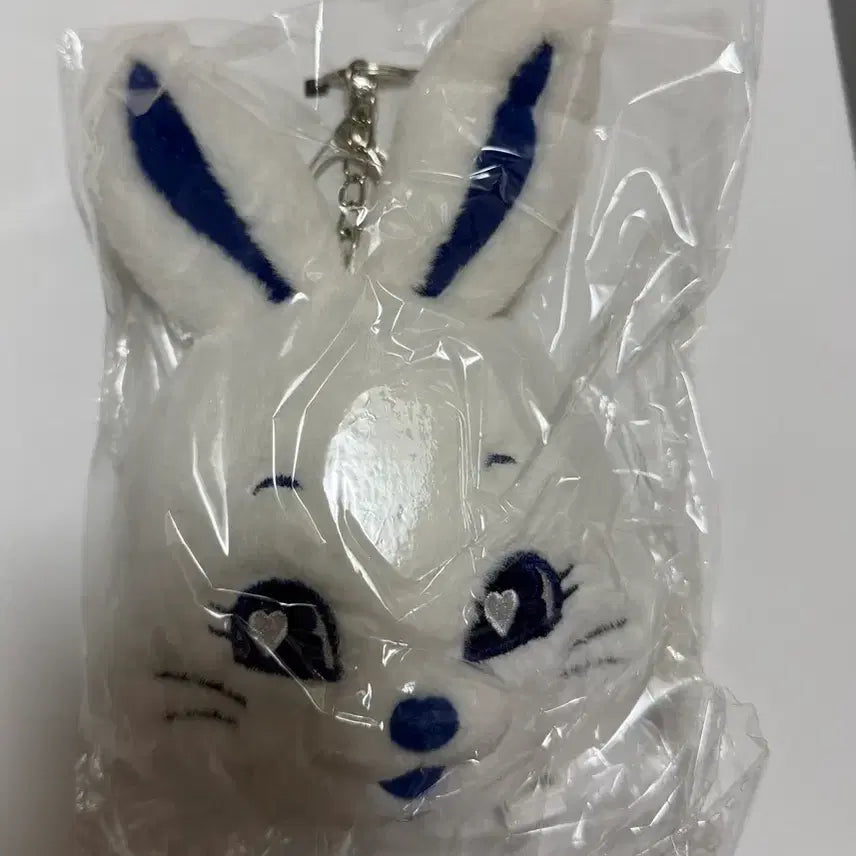 [SOLD OUT] 뉴진스 버니즈클럽 키트 1기 2기 풀구성 일괄