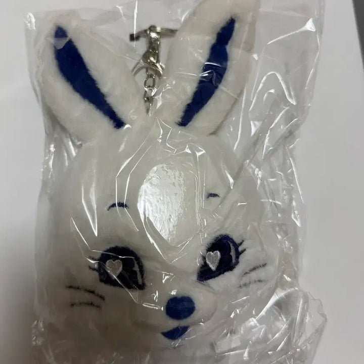 [SOLD OUT] 뉴진스 버니즈클럽 키트 1기 2기 풀구성 일괄