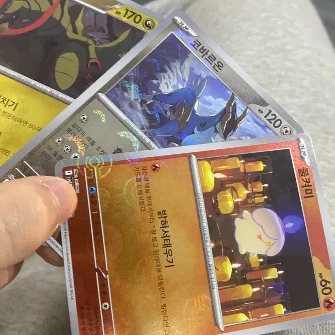 [BUNJANG] Pokemon Blukemy, Cobalion, Excadrill Card Set / 포켓몬스터 카드 불켜미,코바르온,엑스라이즈 몬스터볼 미러