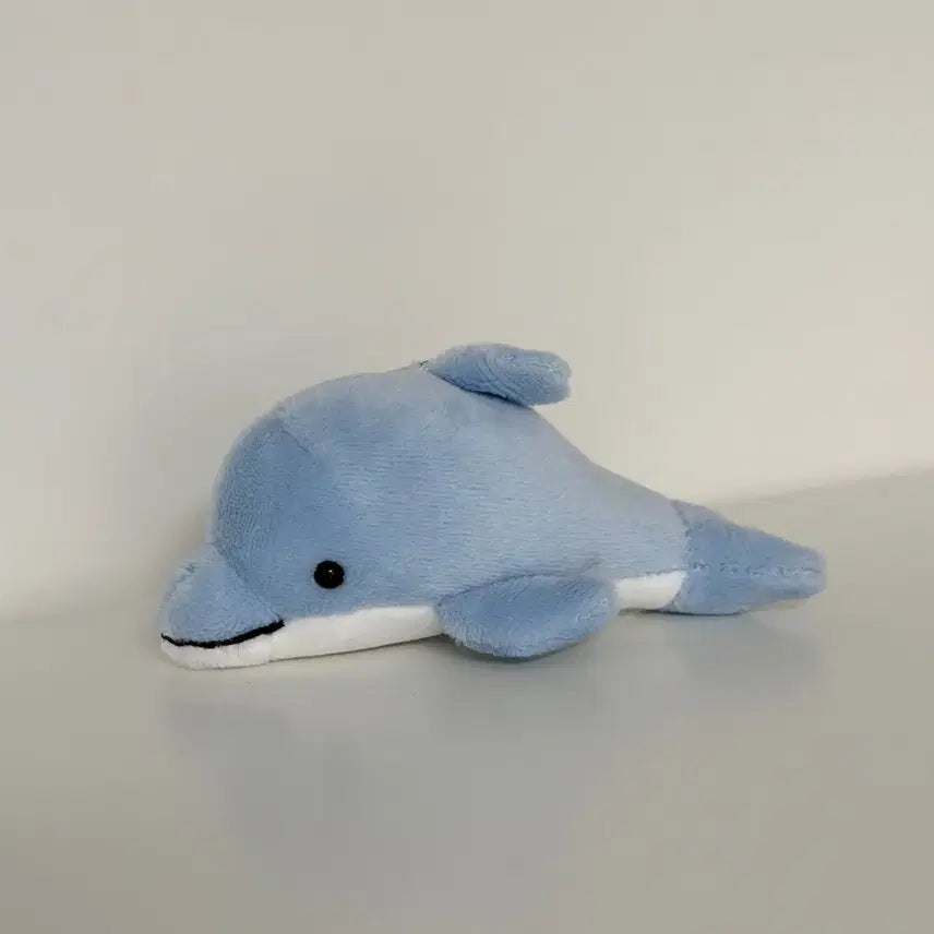 [BUNJANG] Dolphin Plush Toy / 돌고래 인형 하늘색 봉제인형