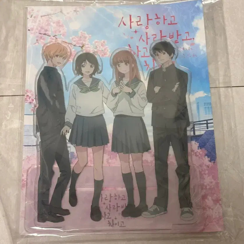 [BUNJANG] Ao Haru Ride Acrylic Stand / 사랑하고 사랑받고 차고 차이고 아크릴스탠드