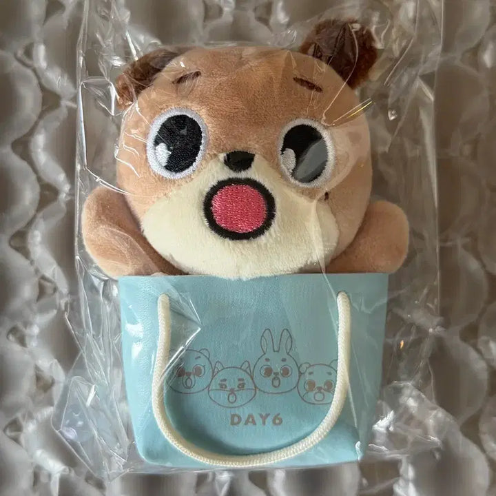[SOLD OUT] Day6 The Decade in Japan 백참-돈