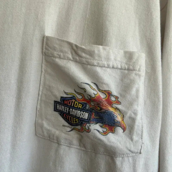 [BUNJANG] Harley Davidson Flame Long Sleeve Shirt / 00s 할리데이비슨 플레임 롱슬리브