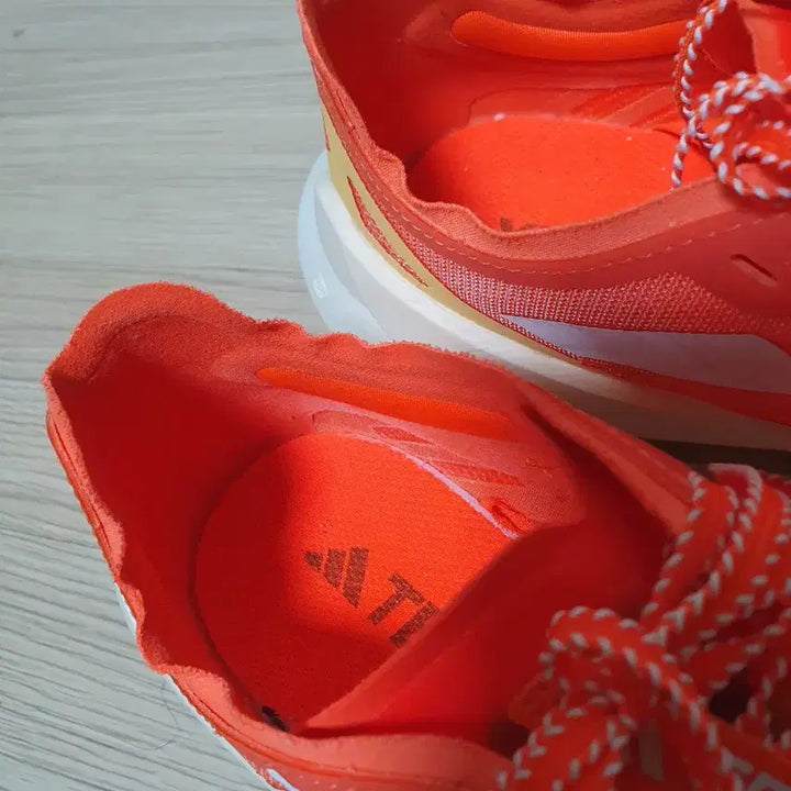 [BUNJANG] Adidas Terrex Agravic Speed Trail Running Shoes 255 / 아디다스 테렉스 아그라빅 스피드 트레일러닝화 255