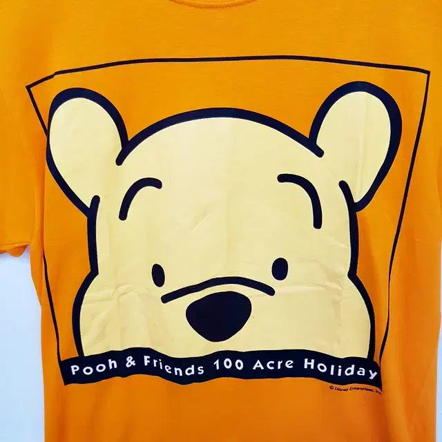 [BUNJANG] Disney Winnie the Pooh Orange T-shirt / 디즈니 곰돌이 푸 캐릭터 티셔츠 오렌지