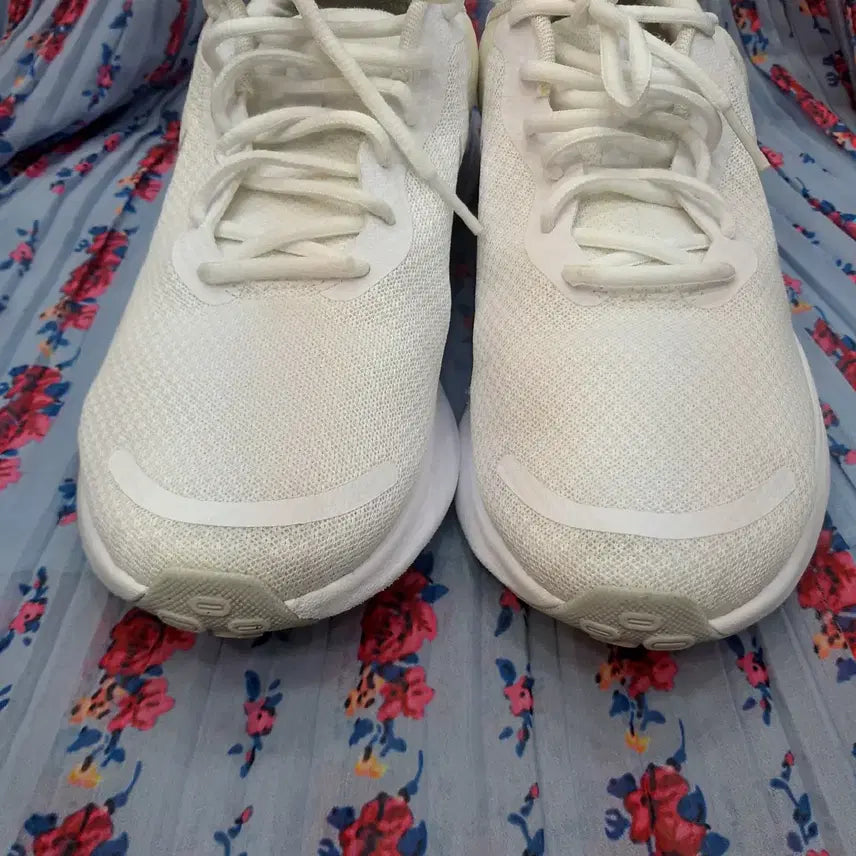 [BUNJANG] Nike Revolution Running Shoes 265mm / 나이키  레볼루션 런닝화  265mm