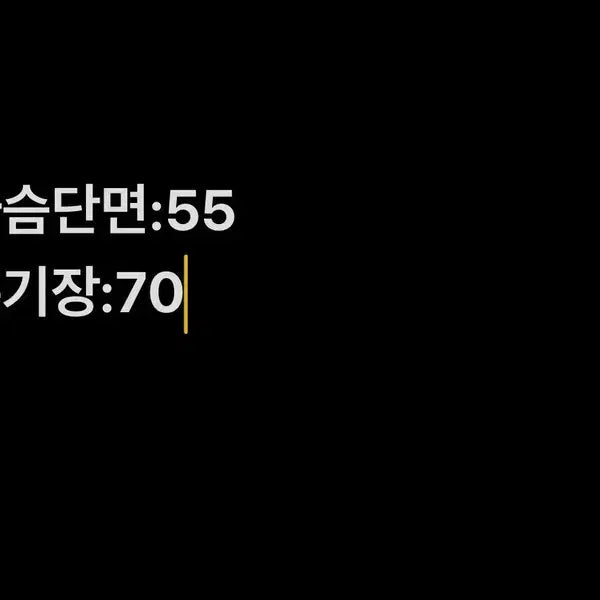 [SOLD OUT] [정품/100] 헤지스 남성 자켓    OO