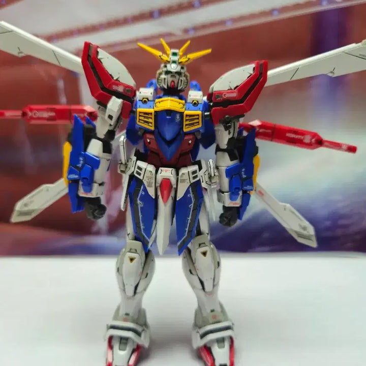 [SOLD OUT] rg 갓건담 정크