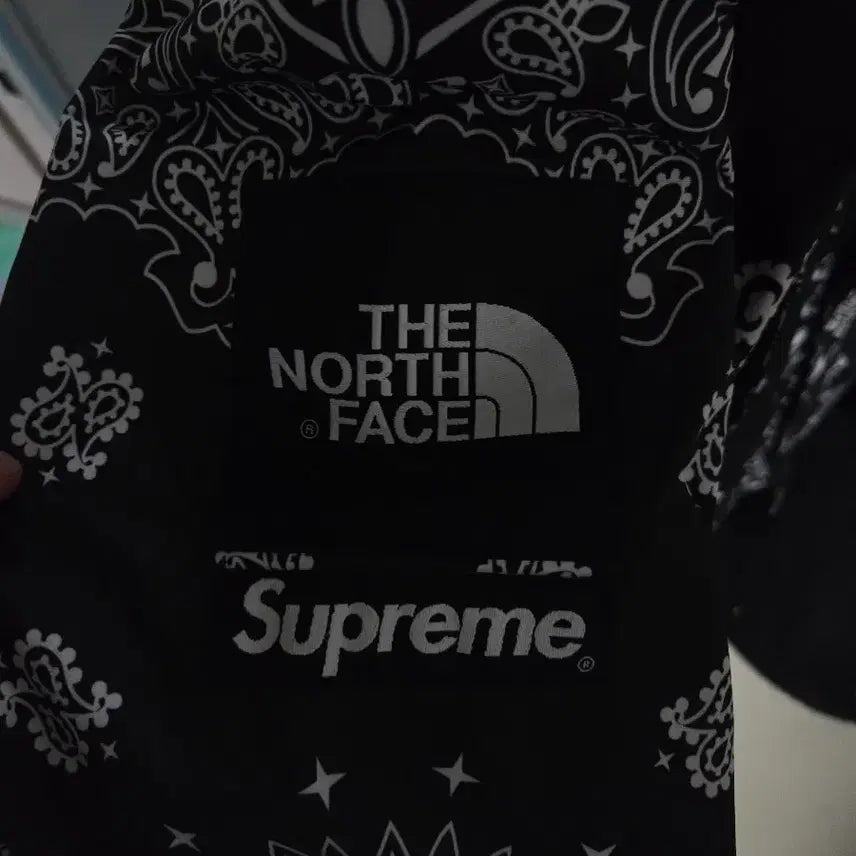 [BUNJANG] Supreme x The North Face Bandana Jacket (M) / 슈프림X노스페이스 반다나M사이즈
