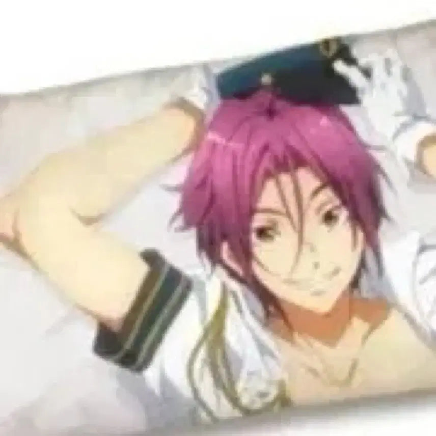 [BUNJANG] Free! Rin Matsuoka Dakimakura Pillow Cover / 판매 종류 많음) ) Free! 프리 마츠오카 린 다키마쿠라 베개 커버