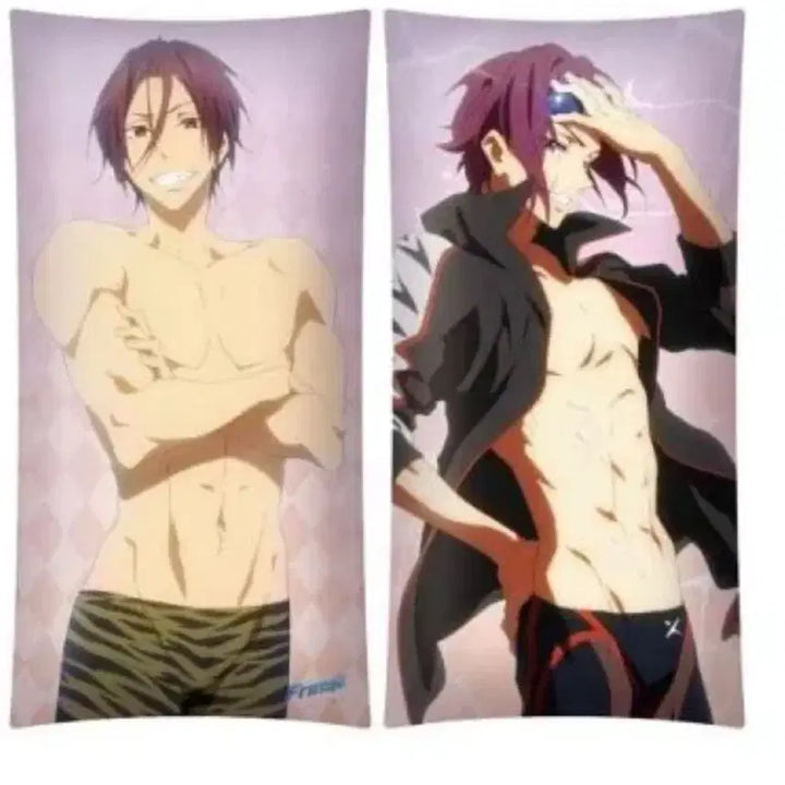 [BUNJANG] Free! Rin Matsuoka Dakimakura Pillow Cover / 판매 종류 많음) ) Free! 프리 마츠오카 린 다키마쿠라 베개 커버