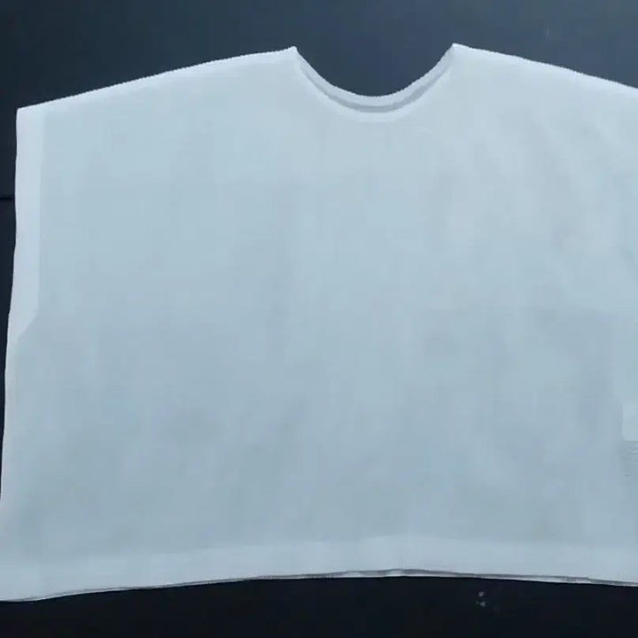 [BUNJANG] Pleats Please Issey Miyake Mesh Pleated Short Sleeve Top / 플리츠플리즈 이세이미야케 메쉬 플리츠 반팔 탑 3사이즈 화이트