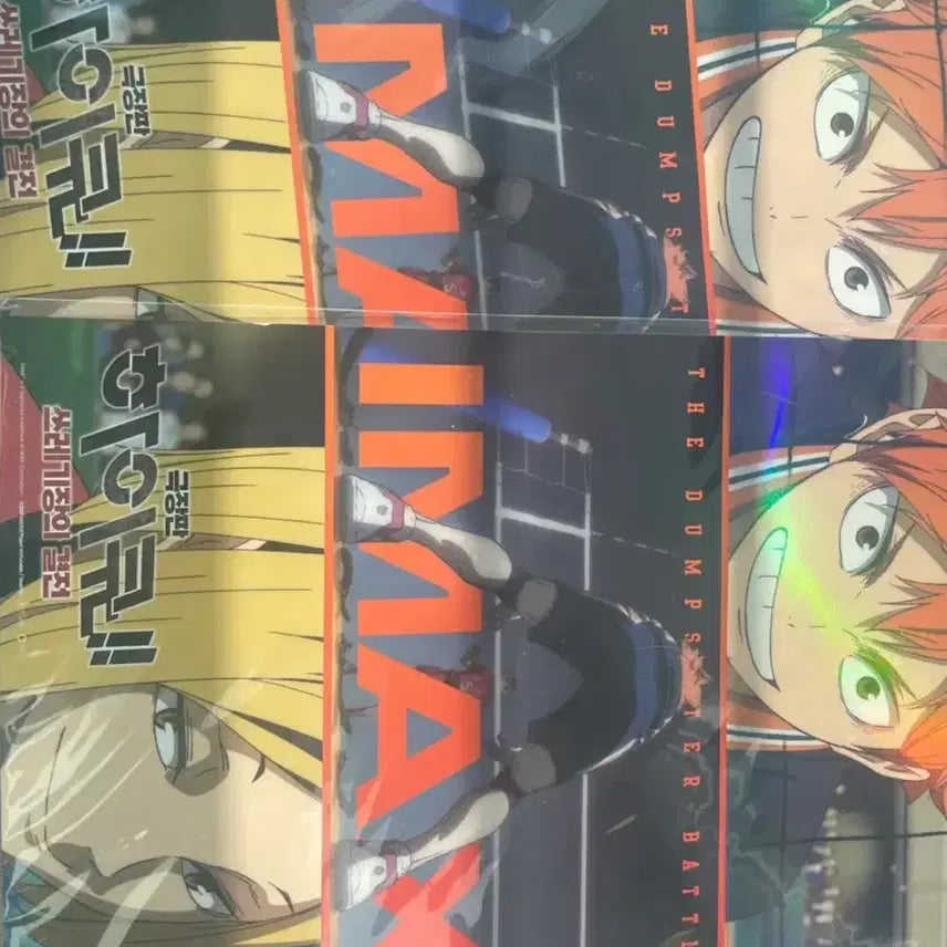 [BUNJANG] Haikyuu The Movie: Decisive Battle at the Garbage Dump Poster / 하이큐 극장판 쓰레기장의 결전